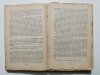 LITERATURA POLSKA WIEKU XIX 1927 - Manfred Kridl